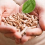 due mani tengono un mucchietto di pellet con una foglia verde